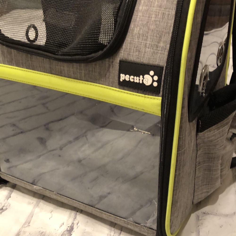 Pecute Cat π Backpack π - Picture 3 of 11